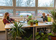 Fotografia przedstawia dwie osoby, siedzące przy biurkach, naprzeciwko siebie. Na biurkach stoi wiele kwiatów. Autorem zdjęcia jest Maciej Motylewski.