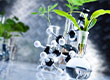 Fotografia przedstawia roślinę rosnącą w probówce, w laboratorium. Obok stoi model cząsteczki chemicznej. Zdjęcie pochodzi z Obrazy licencjonowane przez Depositphotos.com/Drukarnia Chroma.