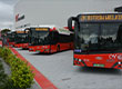 Fotografia przedstawia pięć nowych autobusów zaparkowanych na parkingu przed Areną Ostrów. Zdjęcie pochodzi z archiwum beneficjenta.