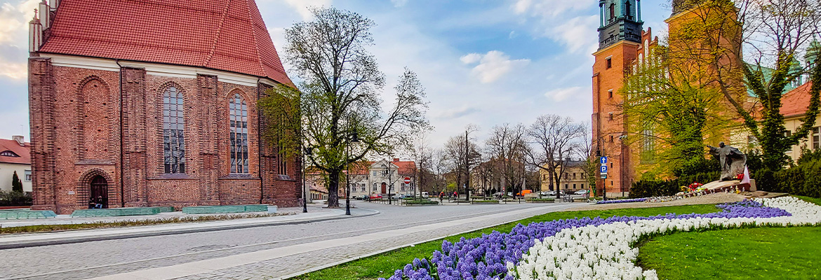 Fotografia przedstawia dwa budynki sakralne – z prawej ceglaną bazylikę z dwiema wieżami, z prawej ceglany kościół. Na pierwszym planie widać ukwiecony trawnik. Autorem zdjęcia jest Przemysław Łukaszyk.
