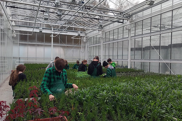 Fotografia przedstawia grupę uczniów podczas zajęć w szklarni. Stoją przy odpowiednich roślinach i zajmują się ich pielęgnacją. Zdjęcie pochodzi z archiwum beneficjenta.