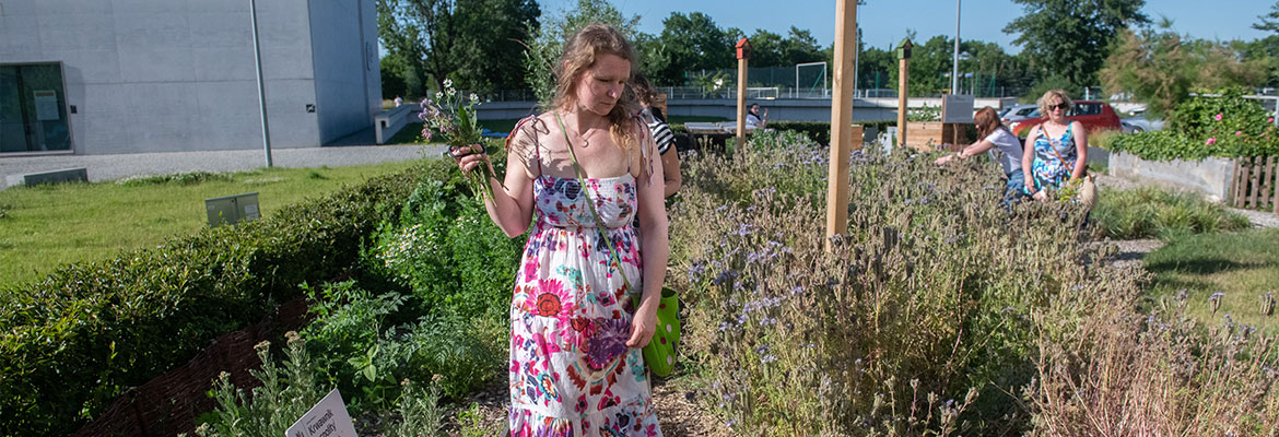 Fotografia przedstawia w kwiecistej sukience, z bukietem kwiatów, która przechadza się alejką ogrodu. Autorem zdjęcia jest Łukasz Gdak z Poznańskiego Centrum Dziedzictwa. 