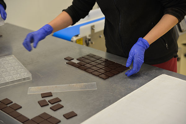 Na fotografii widoczne są dłonie w ochronnych rękawiczkach oraz specjalna forma wypełniona kostkami czekolady. Autorem zdjęcia jest Dominik Wójcik.