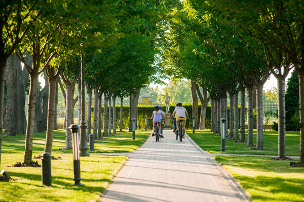Na zdjęciu widzimy wybrukowaną parkową alejkę, wzdłuż której rosną niewysokie drzewka. Alejką poruszają się rowerzyści. Zdjęcie pochodzi z Obrazy licencjonowane przez Depositphotos.com/Drukarnia Chroma.