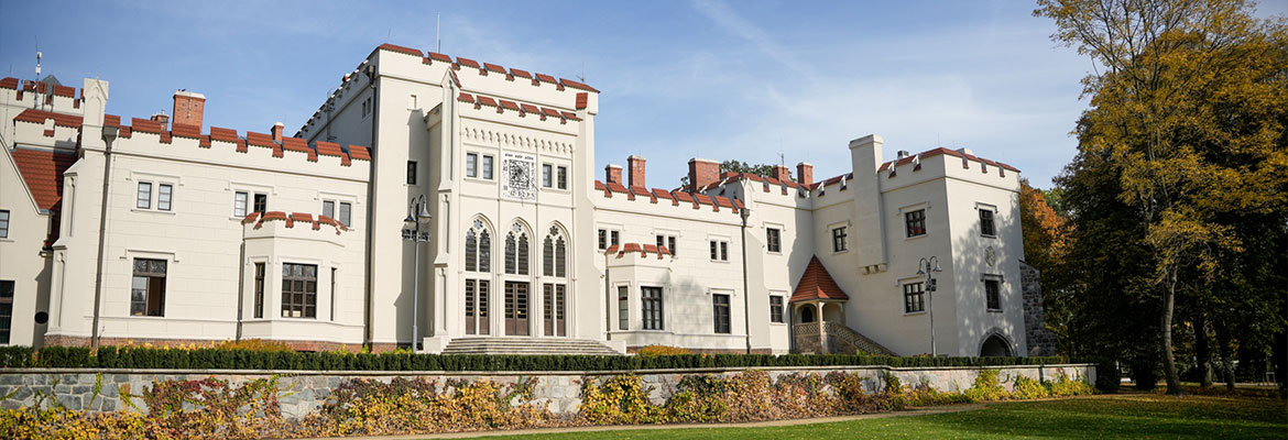 Fotografia przedstawia pałac w pełnej okazałości, z odnowioną elewacją i oknami. Przed budynkiem znajduje się równo przycięty trawnik. Autorem zdjęcia jest Mateusz Adamiak.