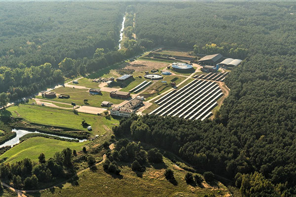 Fotografia z lotu ptaka przedstawia wielką farmę fotowoltaiczną położoną wśród gęstego lasu. Autorem zdjęcia jest Mirosław Jurgielewicz.
