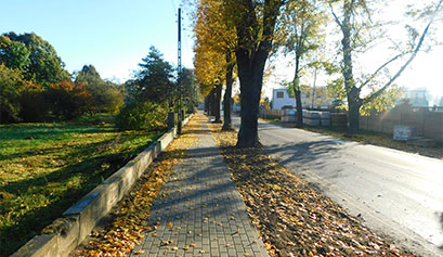 Zdjęcie przedstawia ulicę, wzdłuż której biegnie chodnik. Pomiędzy nimi rosną drzewa, z których opadają liście. Fotografia pochodzi z archiwum beneficjenta.