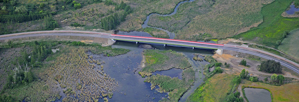 Fotografia z lotu ptaka przedstawia most biegnący na rozległym rozlewiskiem wodnym. Widoczne są nie tylko akweny, ale i porastające je roślinność. Zdjęcie pochodzi z archiwum beneficjenta.