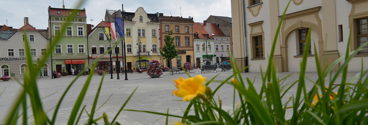 Na pierwszym planie zdjęcia znajduje się donica z żółtymi kwiatami. Dalej widoczne są zabudowania rynku – płyta i budynki, a także trzy maszty z wciągniętymi flagami. Autorem fotografii jest Dominik Wójcik.